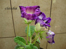 DSC03216