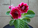 DSC03220