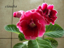 DSC03221