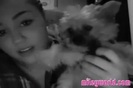 MileyWorld - Thank you! 1026