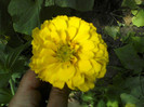 P08-07-11_15.13
