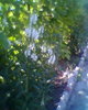 Fotogr.0011