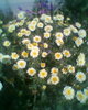 Fotogr.0015