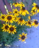 Fotogr.0024