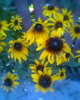 Fotogr.0025