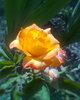 Fotogr.0030