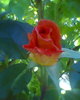Fotogr.0033