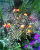 Fotogr.0035