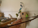 DSCN9864