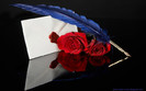 scrisoare_si_trandafiri