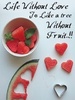 Life_Without_Love