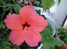 DSC07026
