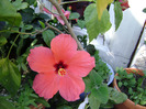 DSC07025