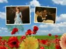 images (14)