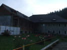 costy 076