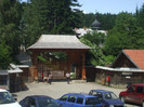 costy 104