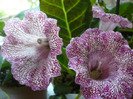 P1080555