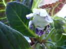 P1080564