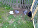 090720111023