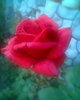 Fotogr.0077