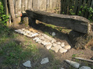 9 iulie 2011 004