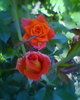 Fotogr.0102