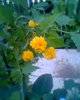 Fotogr.0110