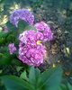 Fotogr.0014