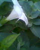 Fotogr.0108