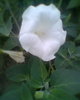 Fotogr.0109