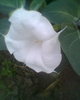 Fotogr.0113