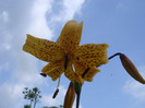 DSC02597