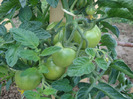 DSC02605