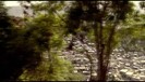 bscap0181