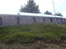 SDC10005