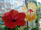 DSC09764