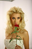 Dyana-Dumitrescu-miroase-un-trandafir