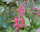 Imag012