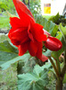 DSC02536
