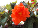 DSC02540