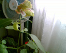 Imag049