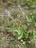 P11-07-11_11.11[2]