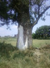 P11-07-11_11.48[2]