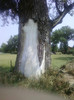 P11-07-11_11.48[5]