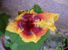 P1080615