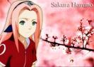 Sakura_Haruno