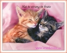 hai_te_strang_in_brate_tare_tare_...._2207