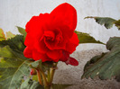 DSC02551