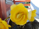 DSC02557