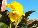 DSC02563